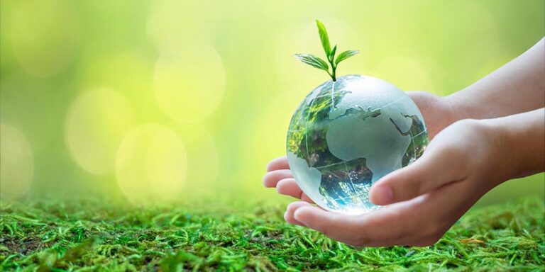 nuestro-proposito-ayudar-al-ecosistema