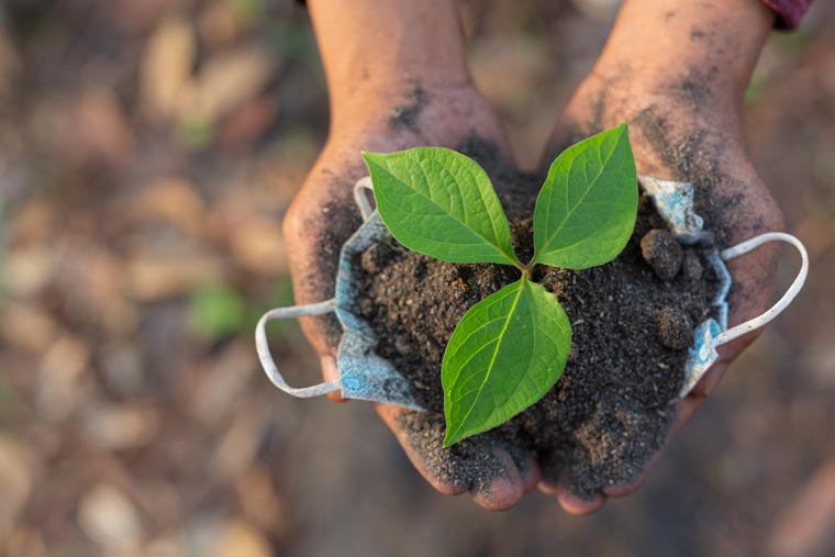 reforestemos nuestro pais